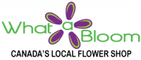 What a Bloom Coupons & Promo Codes